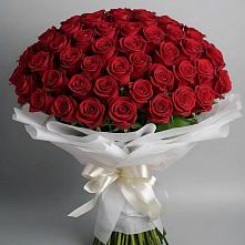 Букет 101 Красная роза Блэк Мэджик в Пятигорском