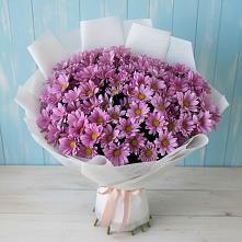 Букет цветов из:  Хризантемы в Пятигорском