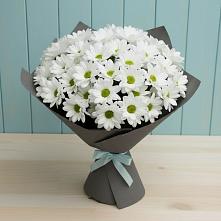Букет цветов из:  Хризантемы в Пятигорском