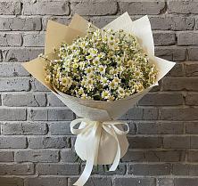 Букет цветов из:  Ромашки #REPLACE_PRED# Пятигорском