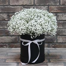 Цветочная композиция из Гипсофила в шляпной коробке в Пятигорском