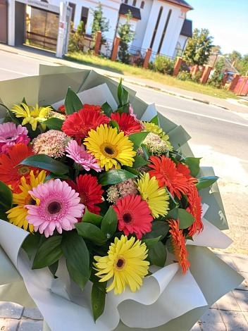 Букет цветов из: Герберы в Пятигорском